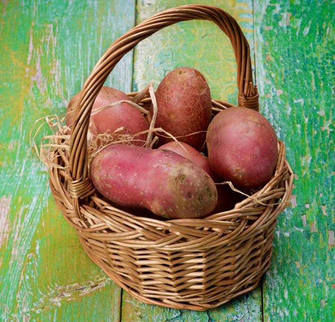 Sweeten the tarragon mayonnaise for this red potato salad naturally with stevia.