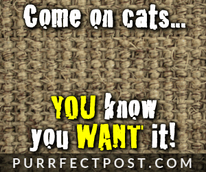 You know you want it cats!  Sisal fabric!